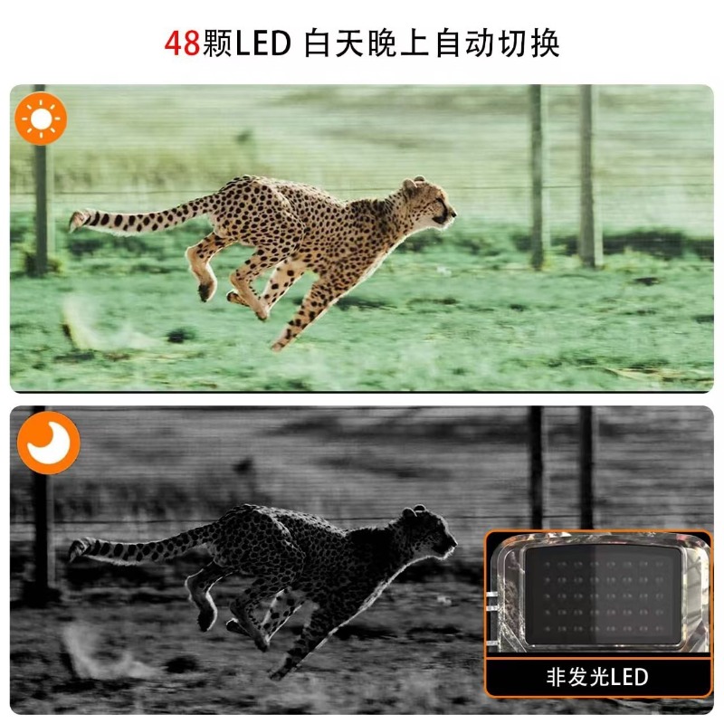 OFERTA ESPECIAL DL001 Cámara d - Outdoor Hunting Video Camera reseña y precio