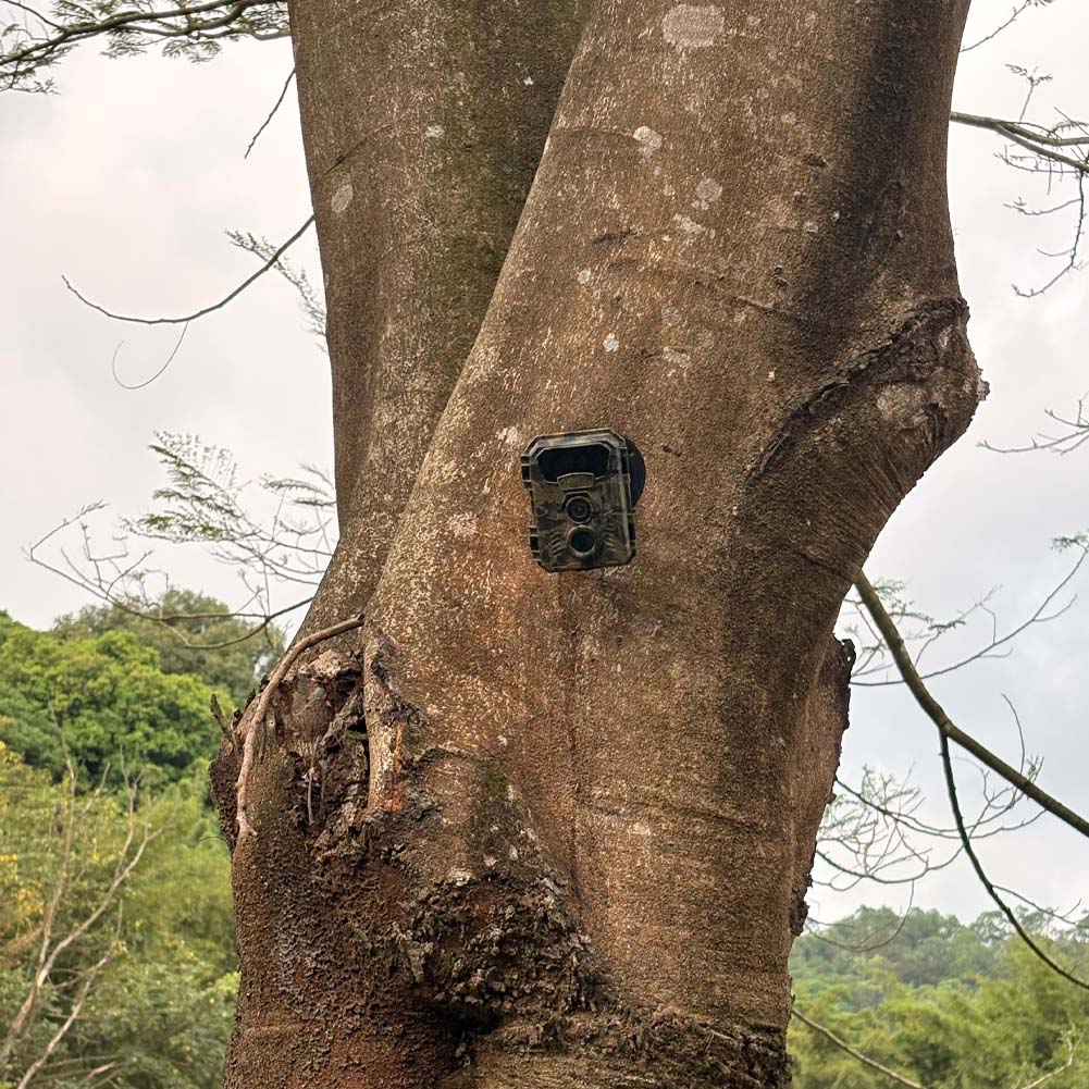 Cámara de Caza 16MP 1080P 48MP - Outdoor Hunting Video Camera reseña y precio