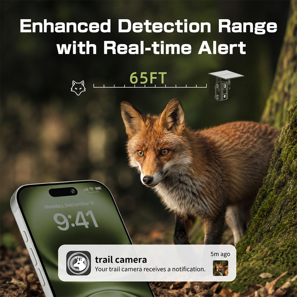 Cámara de Caza Celular 4G para - Outdoor Hunting Video Camera reseña y precio