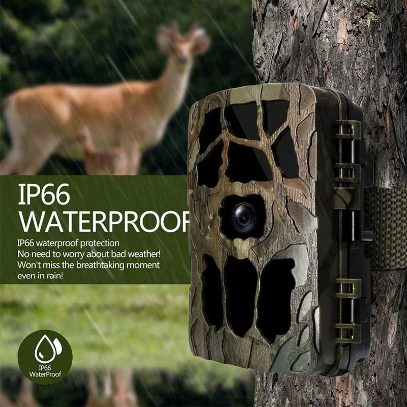 H982 IP66 impermeable 4K infra - Outdoor Hunting Video Camera reseña y precio
