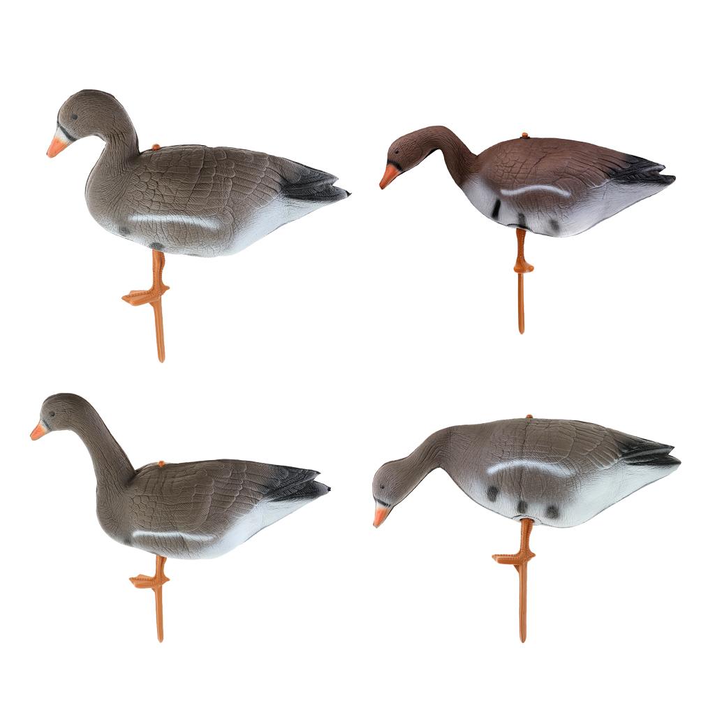 Señuelo Plegable para Pavo y G - Hunting Outdoors reseña y precio